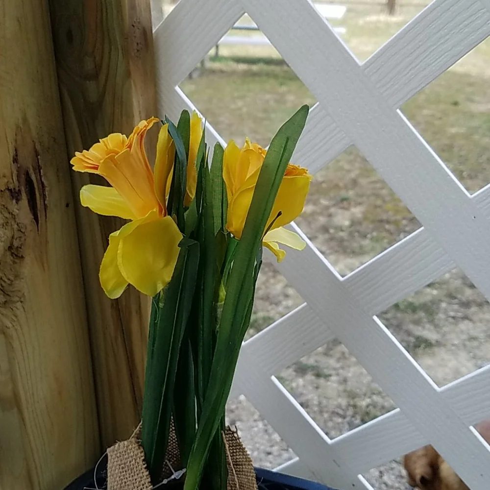Spring flower's & Vase - Picture 2 of 5
